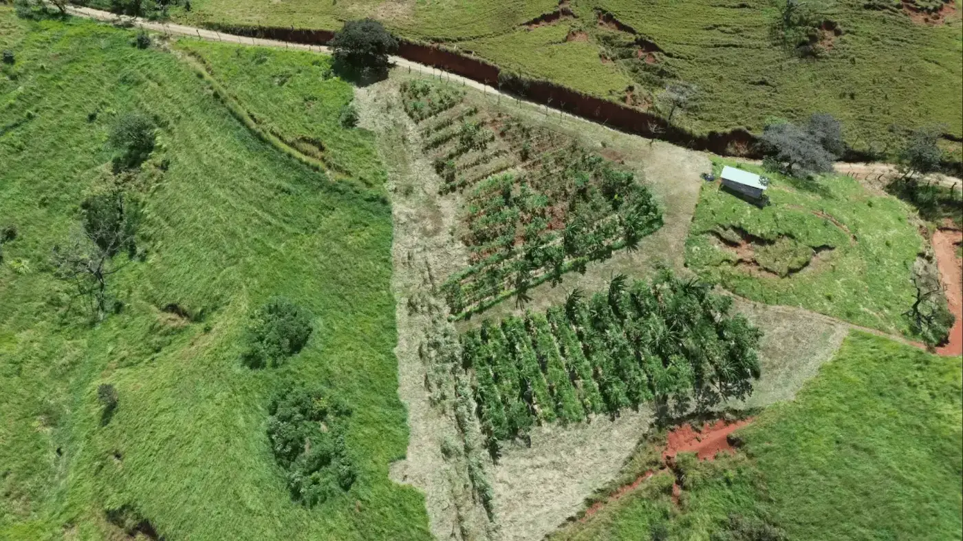 Farm