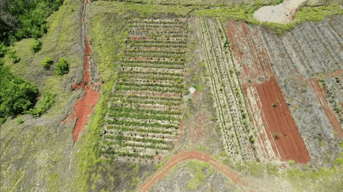 Farm Land