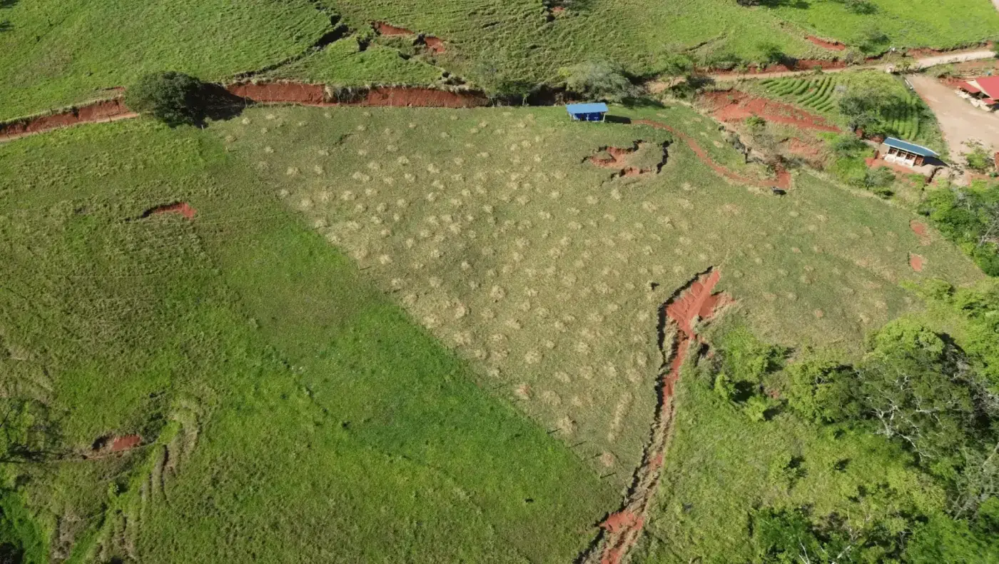 Green pasture land