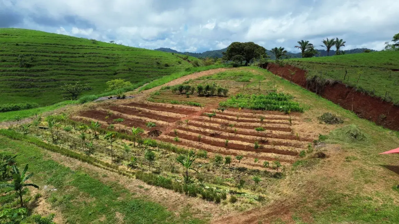 Farming Land
