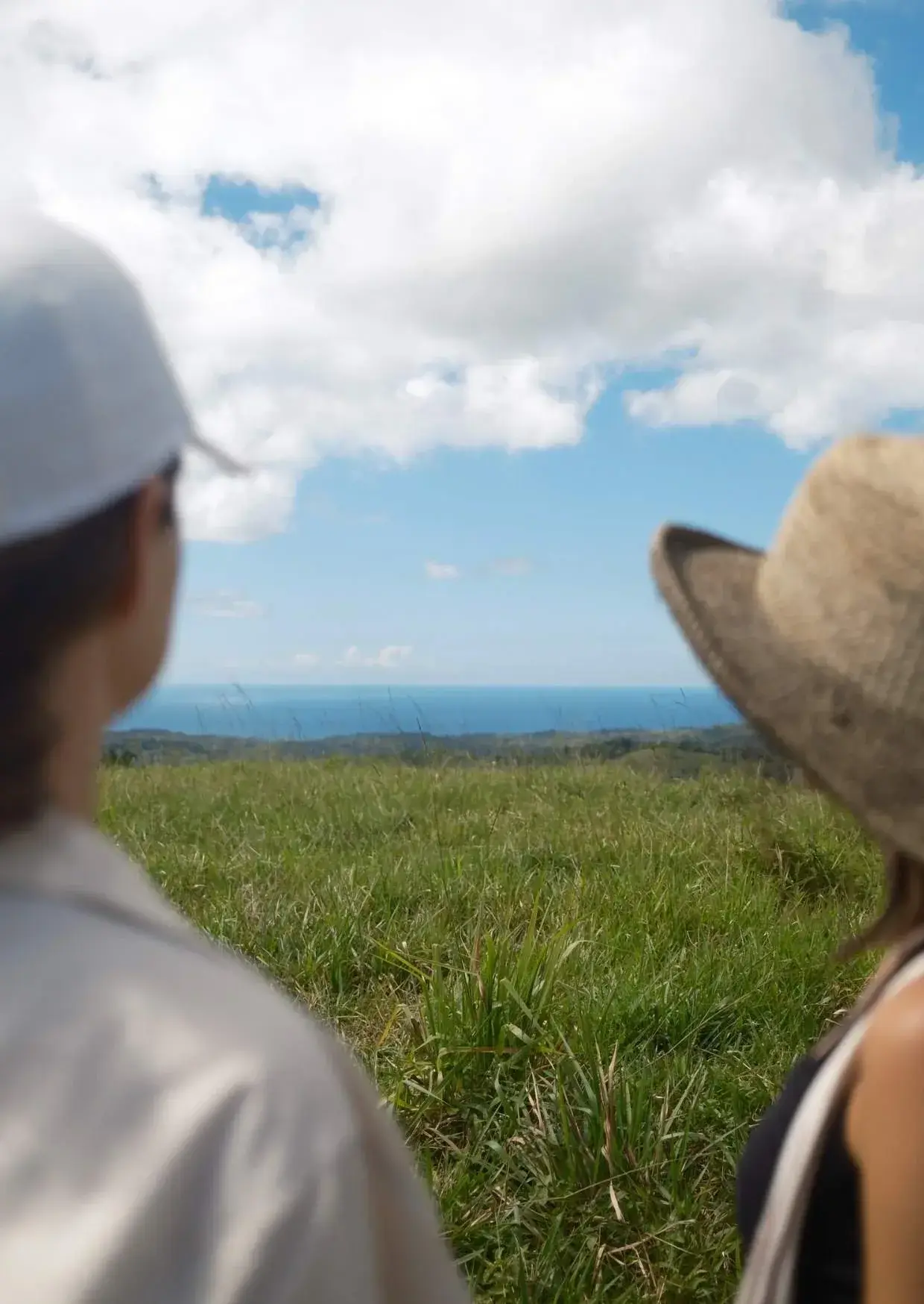 Image from A Seasonal Guide to Guanacaste